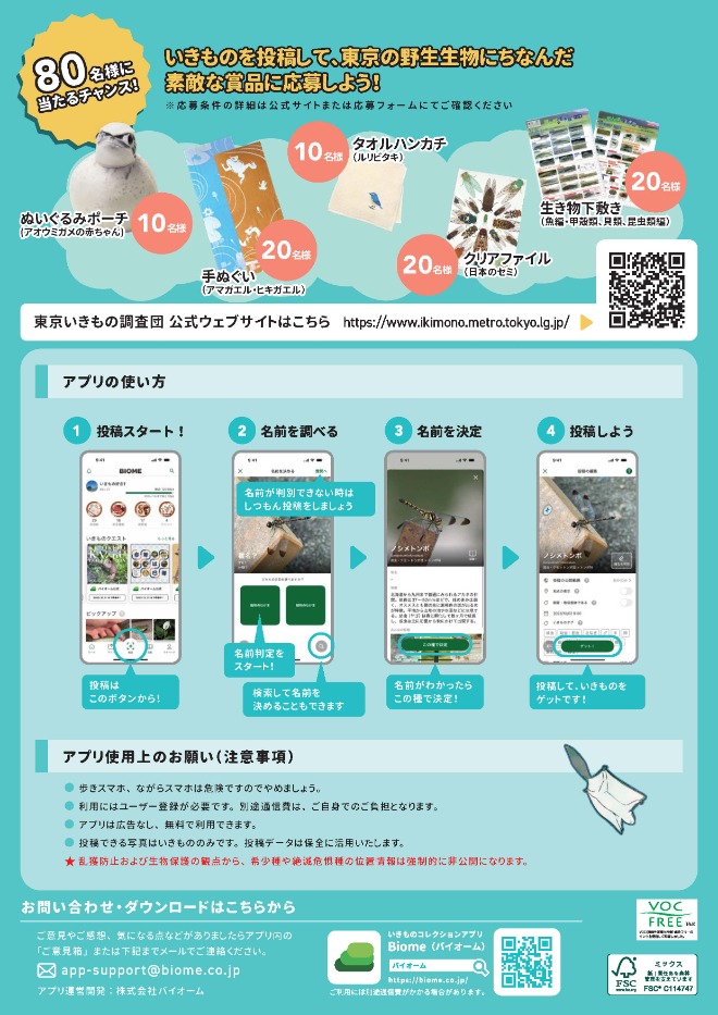 東京いきもの調査団2