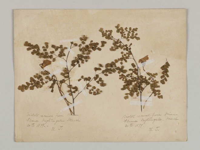 ナイチンゲールから贈られた花束を押し花にした写真（津田塾大学津田梅子資料室所蔵）