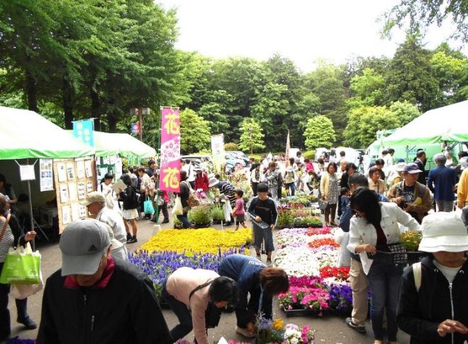 白テントに囲まれた一角に苗が並べられ、来場者が思い思いに会場を行き来している様子