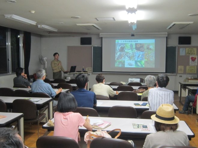 講師が小平市の生き物について説明している写真